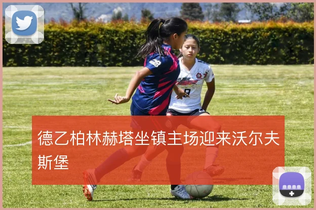 德乙柏林赫塔坐镇主场迎来沃尔夫斯堡
